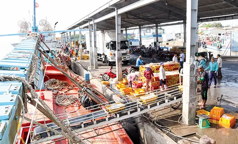 Tuyên truyền chống khai thác hải sản bất hợp pháp, không khai báo và không theo quy định