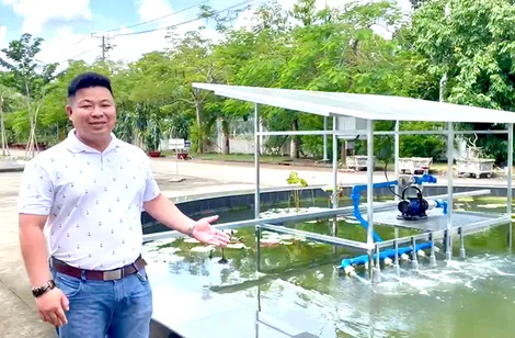 Ứng dụng cơ lượng tử: trong chế biến thực phẩm và bảo vệ môi trường