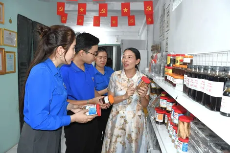 Tập huấn nâng cao năng lực cho đoàn viên, thanh niên về phát triển kinh tế nông thôn