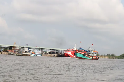 TP Cần Thơ chuẩn bị sẵn sàng các địa điểm cho tàu neo đậu, tránh trú bão an toàn