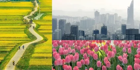 Anhnghethuatdulich.com - Website ảnh nghệ thuật cho bạn đọc