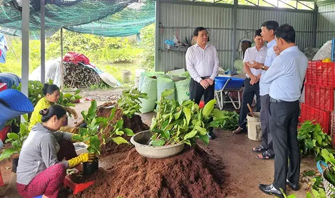 Phó Bí thư Thành ủy Trần Văn Huyến làm việc với xã Đại Ngãi và xã Nhơn Mỹ