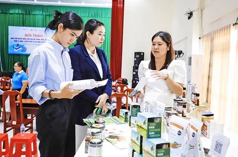 Nâng cao quyền năng của phụ nữ trong phát triển kinh tế số, kinh tế xanh, chuyển đổi số và khởi sự doanh nghiệp