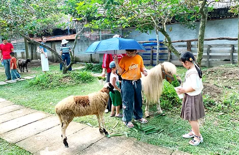 Cần Thơ đón khoảng 256.400 lượt khách tham quan trong dịp nghỉ Lễ 2-9