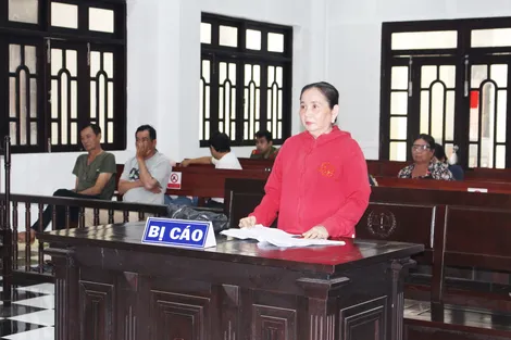 Nữ nội trợ lãnh án 12 năm tù về tội lừa đảo chiếm đoạt tài sản