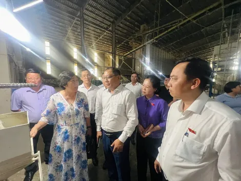Đoàn Đại biểu Quốc hội TP Cần Thơ khảo sát tình hình sản xuất, kinh doanh lúa, gạo