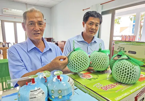 Nâng cao thu nhập bằng cách cho sầu riêng ra trái nghịch mùa