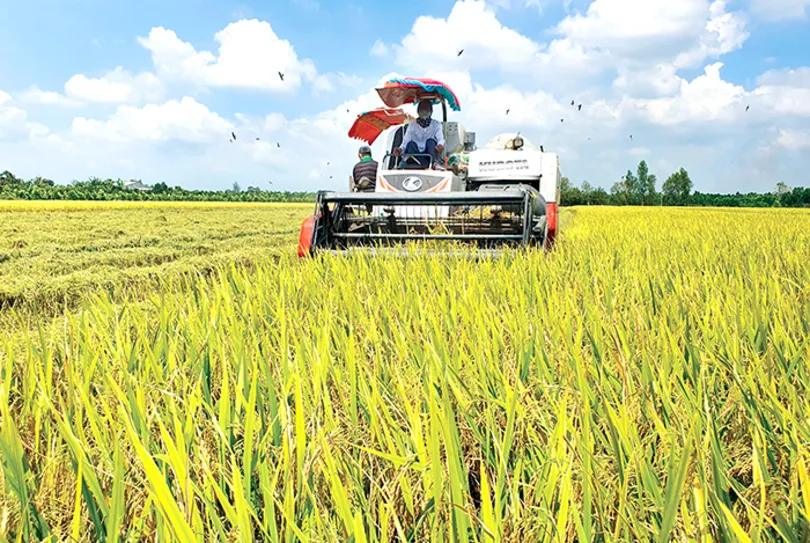 Chuyển đổi sinh thái, phát triển kinh tế tuần hoàn tại ĐBSCL