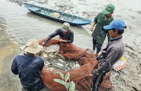 Diện tích nuôi thủy sản đạt hơn 73.990ha