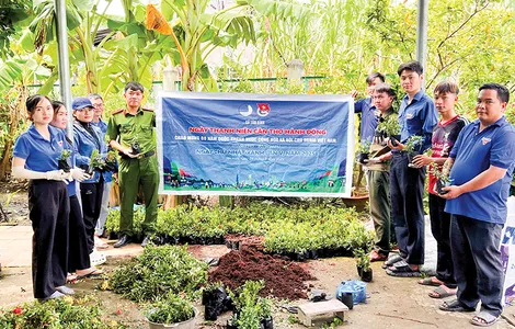 Xung kích bảo vệ môi trường