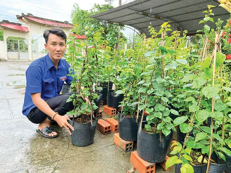 Khởi nghiệp thành công với mô hình trồng hoa kiểng