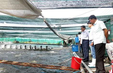 Nhiều kết quả nổi bật trong tái cơ cấu ngành nông nghiệp