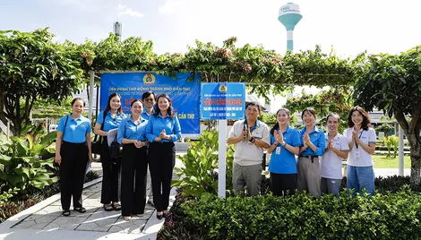 Gắn biển công trình thi đua chào mừng Đại hội đại biểu Đảng bộ TP Cần Thơ nhiệm kỳ 2025-2030