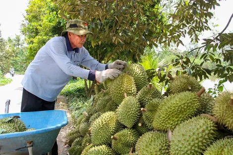 Nâng cao năng lực cạnh tranh, mở rộng thị trường toàn cầu thông qua chuyển đổi số trong xúc tiến thương mại