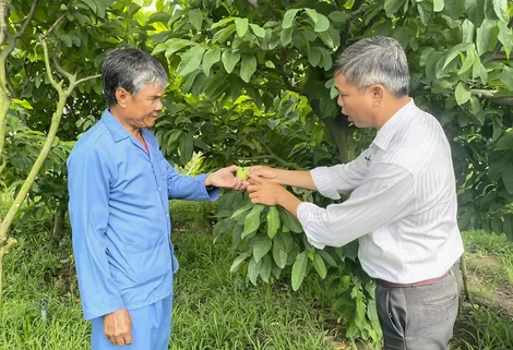 Tuổi cao, chí càng cao