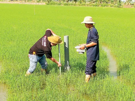 Chuyển đổi cơ cấu cây trồng, phát triển nông nghiệp bền vững