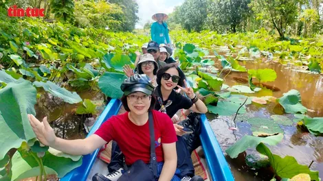 Về U Minh Hạ trải nghiệm du lịch xanh ở Mười Ngọt và Sông Trẹm