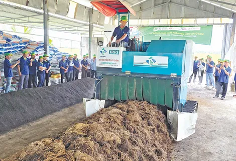 Đưa công nghệ vào quản lý canh tác lúa chất lượng cao và phát thải thấp