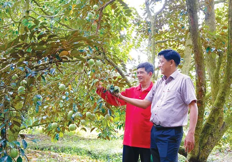 Phát triển nông nghiệp, nông thôn toàn diện, bền vững
