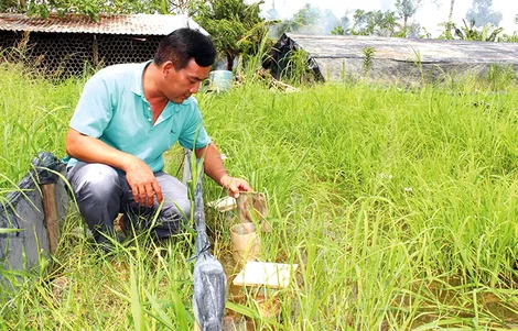 Hiệu quả mô hình kinh tế tuần hoàn - không chất thải