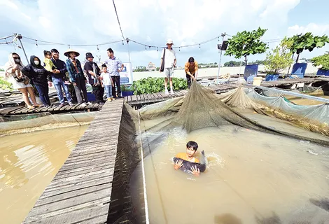 Phát triển nông nghiệp sinh thái hướng đến tăng trưởng xanh