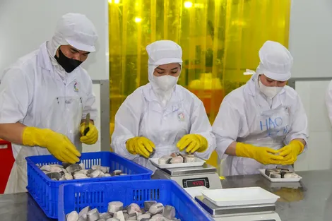 Tăng cường quản lý chất lượng, phát triển thị trường cho sản phẩm nông, lâm, thủy sản