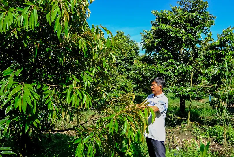 Huy động sức mạnh tổng hợp nâng chất nông thôn mới kiểu mẫu