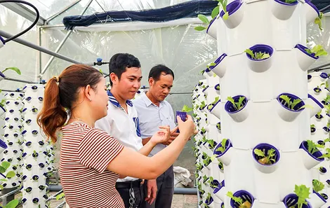 Ứng dụng khoa học, công nghệ, chuyển đổi số trong nông nghiệp