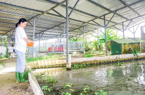 Kiếm tiền tỉ từ mô hình kinh tế tuần hoàn
