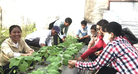 Hỗ trợ phát triển sản xuất nông nghiệp
