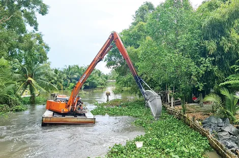 Chủ động bảo vệ vườn cây ăn trái trong mùa lũ