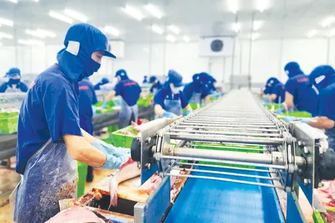 Doanh nghiệp Cần Thơ nỗ lực đóng góp vào tăng trưởng chung