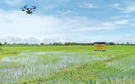 Phát huy mô hình sản xuất nông nghiệp bền vững, thích ứng biến đổi khí hậu