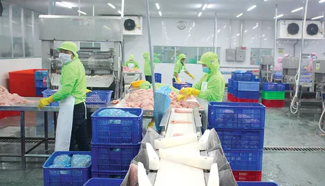 Sản lượng thủy sản nuôi trồng và khai thác đều tăng