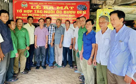 Nhiều giải pháp hỗ trợ hội viên nông dân nâng cao đời sống