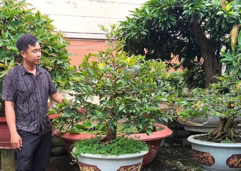 Khởi nghiệp từ niềm đam mê mai vàng