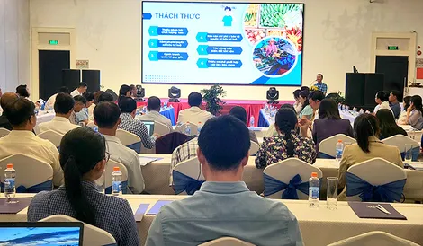 Hỗ trợ quản lý, phát triển nhãn hiệu tập thể, nhãn hiệu chứng nhận, chỉ dẫn địa lý cho các sản phẩm chủ lực