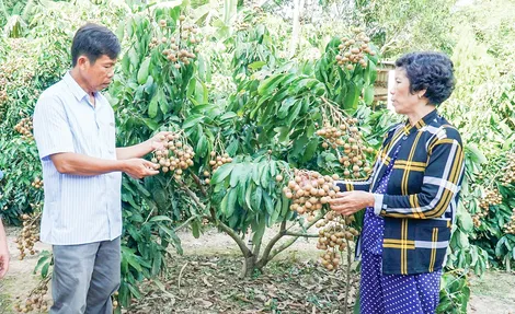 Giúp hội viên, nông dân chuyển đổi số