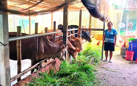 Làm để dân tin