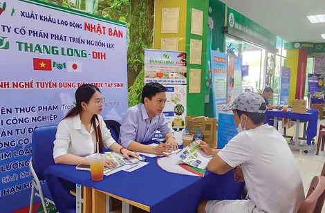 Tín hiệu lạc quan của thị trường lao động