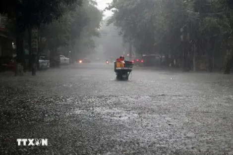 Bão Kalmaegi tăng cấp, hướng về khu vực giữa Biển Đông