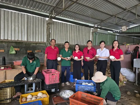 Agribank Chi nhánh Trà Vinh đồng hành phát triển đặc sản dừa sáp