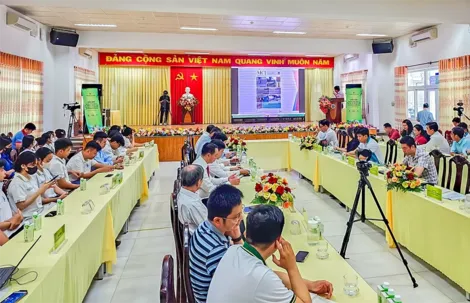 Quản lý sức khỏe cây dừa, nâng cao chất lượng sản xuất, đáp ứng nhu cầu thị trường