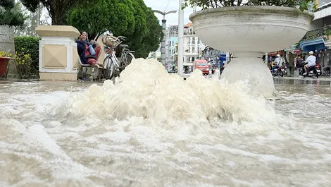 Tăng cường khảo sát, thống kê và đề xuất giải pháp khắc phục thiệt hại do triều cường
