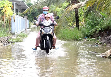 Cẩn trọng khi lưu thông trên đường nông thôn bị ngập