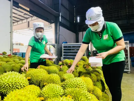 Xuất khẩu nông sản 100 tỷ USD: Khát vọng và hành trình của ngành nông nghiệp Việt