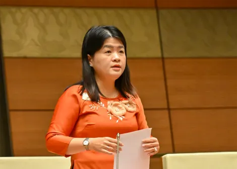 Đại biểu Quốc hội Phạm Thị Minh Huệ phát biểu thảo luận tại Hội trường về dự án Luật Dân số
