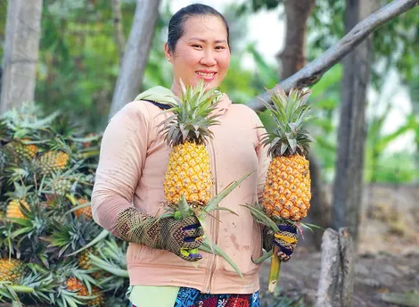 Số hóa hoạt động hỗ trợ quản lý và phát triển tài sản trí tuệ