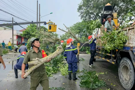 Mưa giông làm cây xà cừ bật gốc, đổ chắn ngang đường Cách mạng Tháng Tám