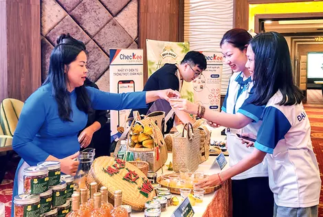 Phát triển, hoàn thiện hệ sinh thái khởi nghiệp, khởi nghiệp đổi mới sáng tạo